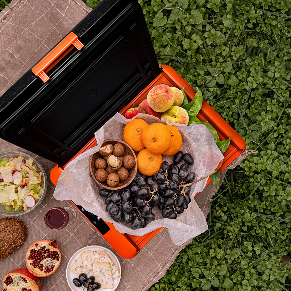 Автохолодильник ALPICOOL СL30 30л 12/24/220 Вольт — изображение 8