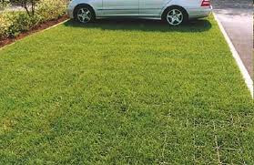 Решетка газонная РГ-70.40.3,2 пластиковая черная — изображение 3